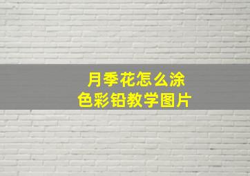 月季花怎么涂色彩铅教学图片