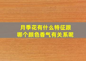 月季花有什么特征跟哪个颜色香气有关系呢