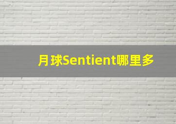 月球Sentient哪里多