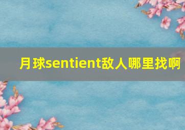 月球sentient敌人哪里找啊