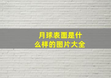 月球表面是什么样的图片大全