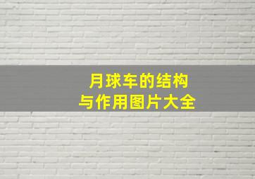 月球车的结构与作用图片大全