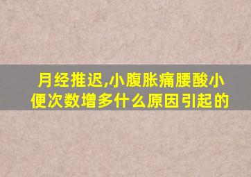 月经推迟,小腹胀痛腰酸小便次数增多什么原因引起的