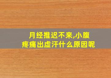 月经推迟不来,小腹疼痛出虚汗什么原因呢