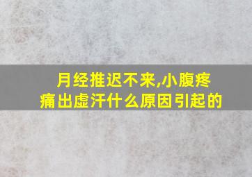 月经推迟不来,小腹疼痛出虚汗什么原因引起的