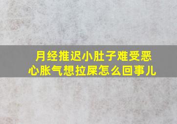 月经推迟小肚子难受恶心胀气想拉屎怎么回事儿