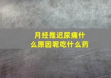 月经推迟尿痛什么原因呢吃什么药