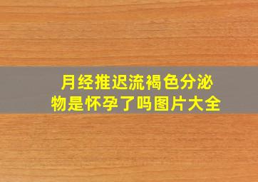 月经推迟流褐色分泌物是怀孕了吗图片大全