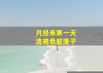 月经来第一天流褐色脏渣子