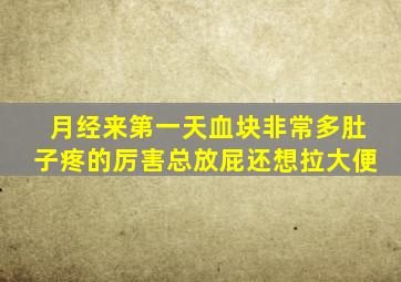 月经来第一天血块非常多肚子疼的厉害总放屁还想拉大便