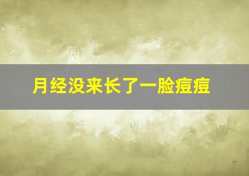 月经没来长了一脸痘痘