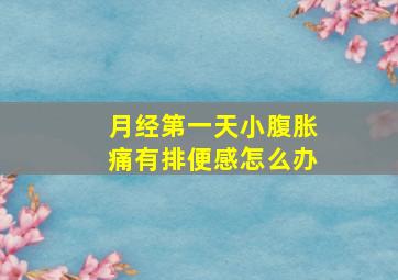 月经第一天小腹胀痛有排便感怎么办