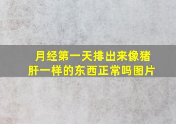 月经第一天排出来像猪肝一样的东西正常吗图片