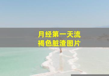 月经第一天流褐色脏渣图片