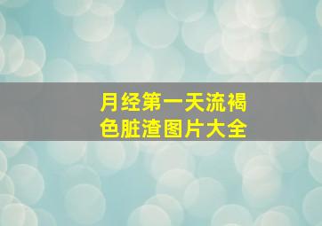 月经第一天流褐色脏渣图片大全