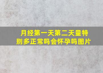 月经第一天第二天量特别多正常吗会怀孕吗图片