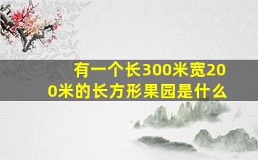 有一个长300米宽200米的长方形果园是什么