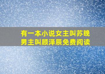 有一本小说女主叫苏晚男主叫顾泽辰免费阅读