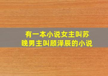 有一本小说女主叫苏晚男主叫顾泽辰的小说