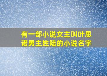 有一部小说女主叫叶思诺男主姓陆的小说名字