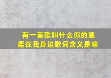 有一首歌叫什么你的温柔在我身边歌词含义是啥