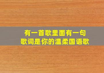 有一首歌里面有一句歌词是你的温柔国语歌