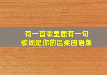 有一首歌里面有一句歌词是你的温柔国语版