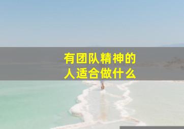 有团队精神的人适合做什么