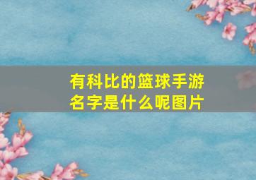 有科比的篮球手游名字是什么呢图片