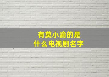 有莫小渝的是什么电视剧名字