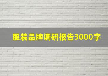 服装品牌调研报告3000字