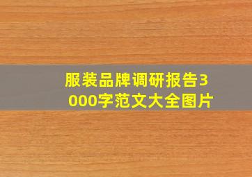 服装品牌调研报告3000字范文大全图片