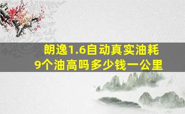 朗逸1.6自动真实油耗9个油高吗多少钱一公里