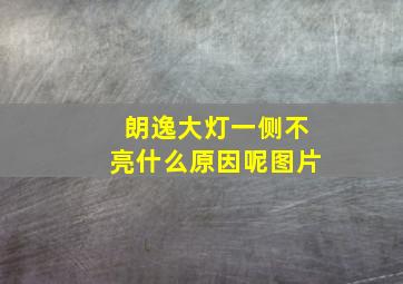 朗逸大灯一侧不亮什么原因呢图片