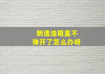 朗逸油箱盖不弹开了怎么办呀