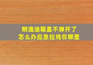 朗逸油箱盖不弹开了怎么办应急拉线在哪里