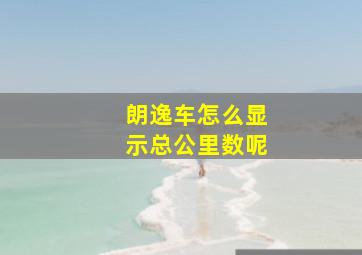 朗逸车怎么显示总公里数呢