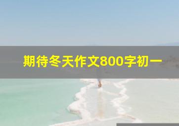 期待冬天作文800字初一