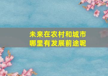 未来在农村和城市哪里有发展前途呢