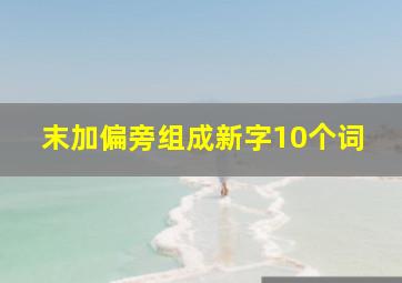 末加偏旁组成新字10个词