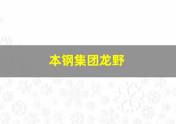 本钢集团龙野