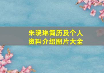 朱晓琳简历及个人资料介绍图片大全