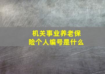 机关事业养老保险个人编号是什么