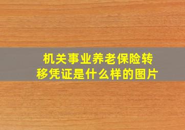 机关事业养老保险转移凭证是什么样的图片