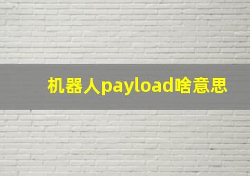 机器人payload啥意思