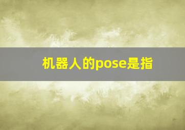 机器人的pose是指