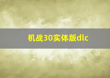 机战30实体版dlc