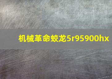 机械革命蛟龙5r95900hx