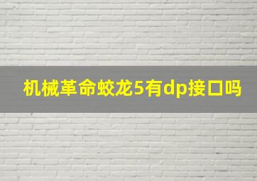 机械革命蛟龙5有dp接口吗