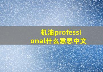 机油professional什么意思中文